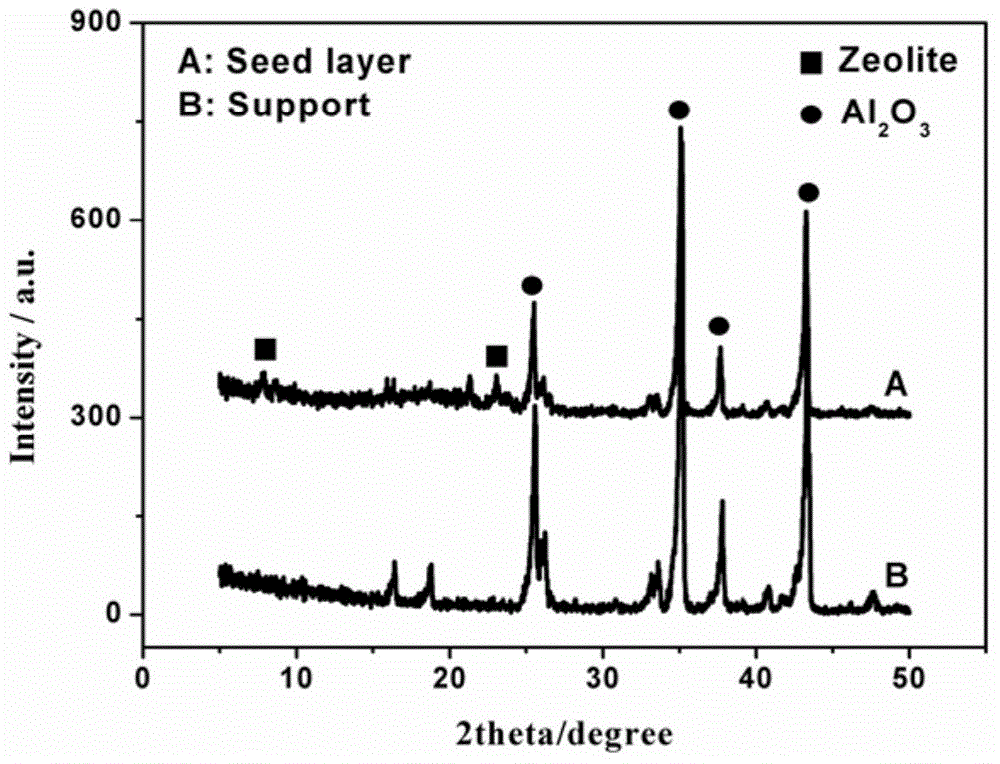 Method for preparing high-performance B-ZSM-5 molecular sieve membrane in dilute synthesis solution