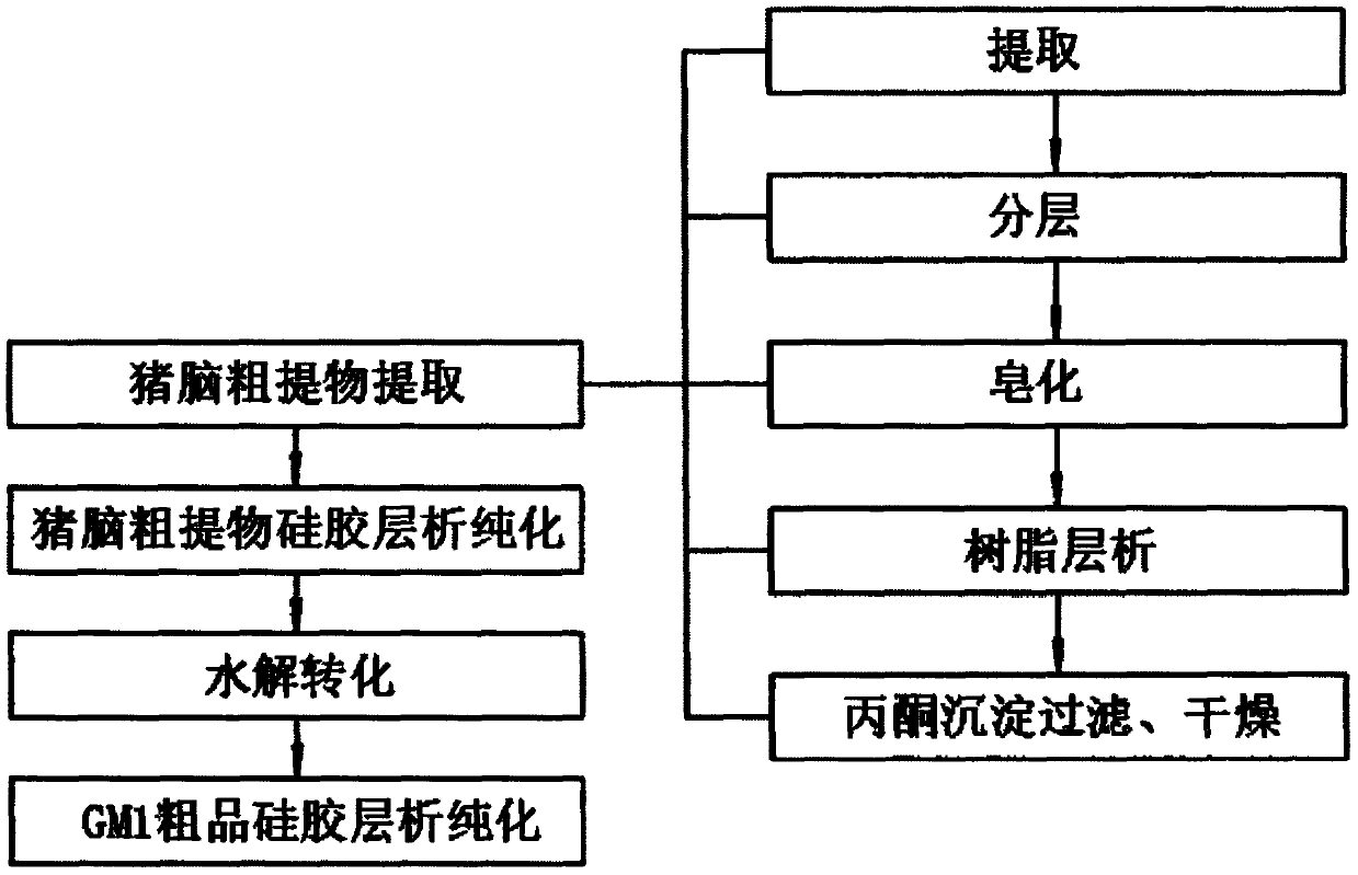 Method for preparing ganglioside through efficient hydrolysis conversion