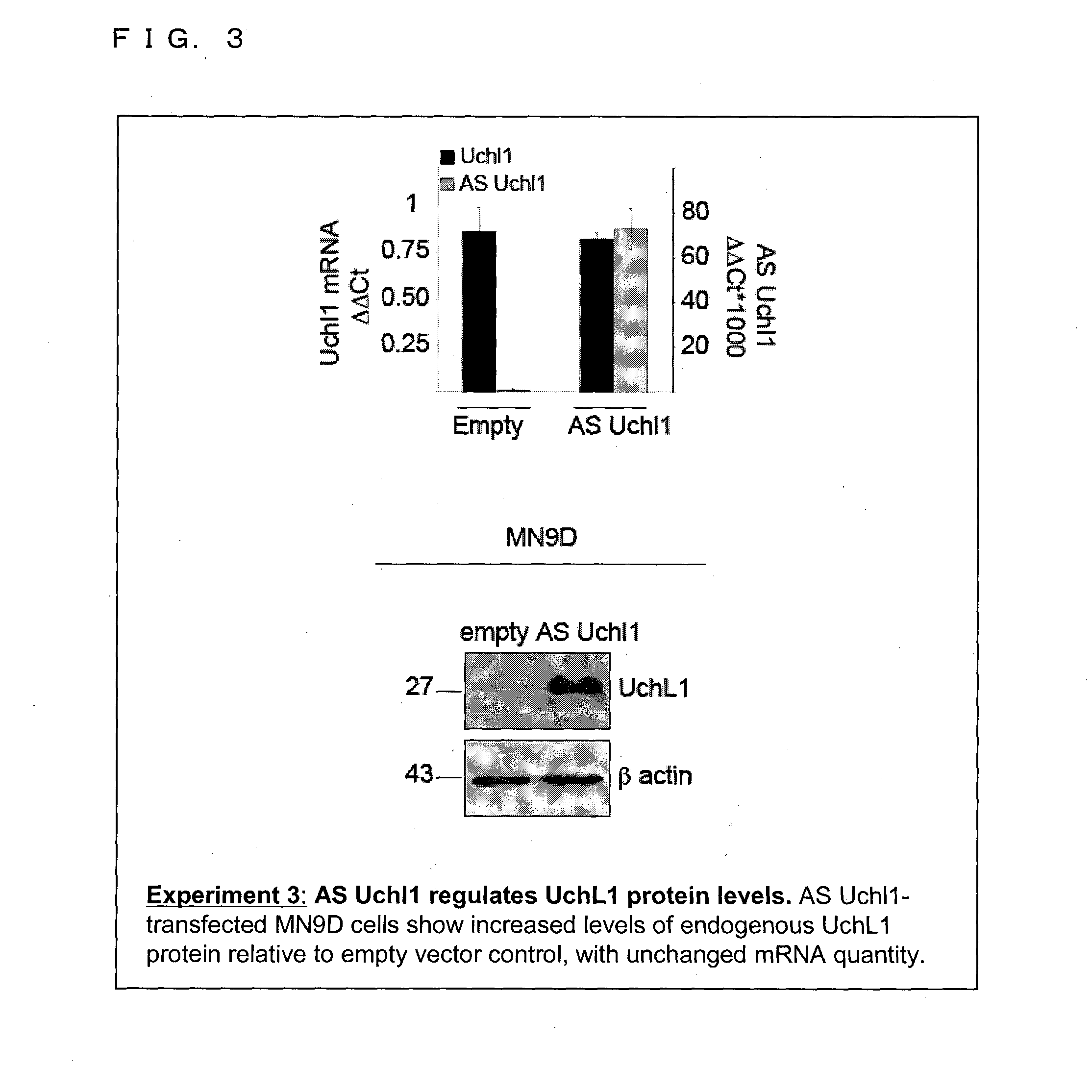 Functional nucleic acid molecule and use thereof