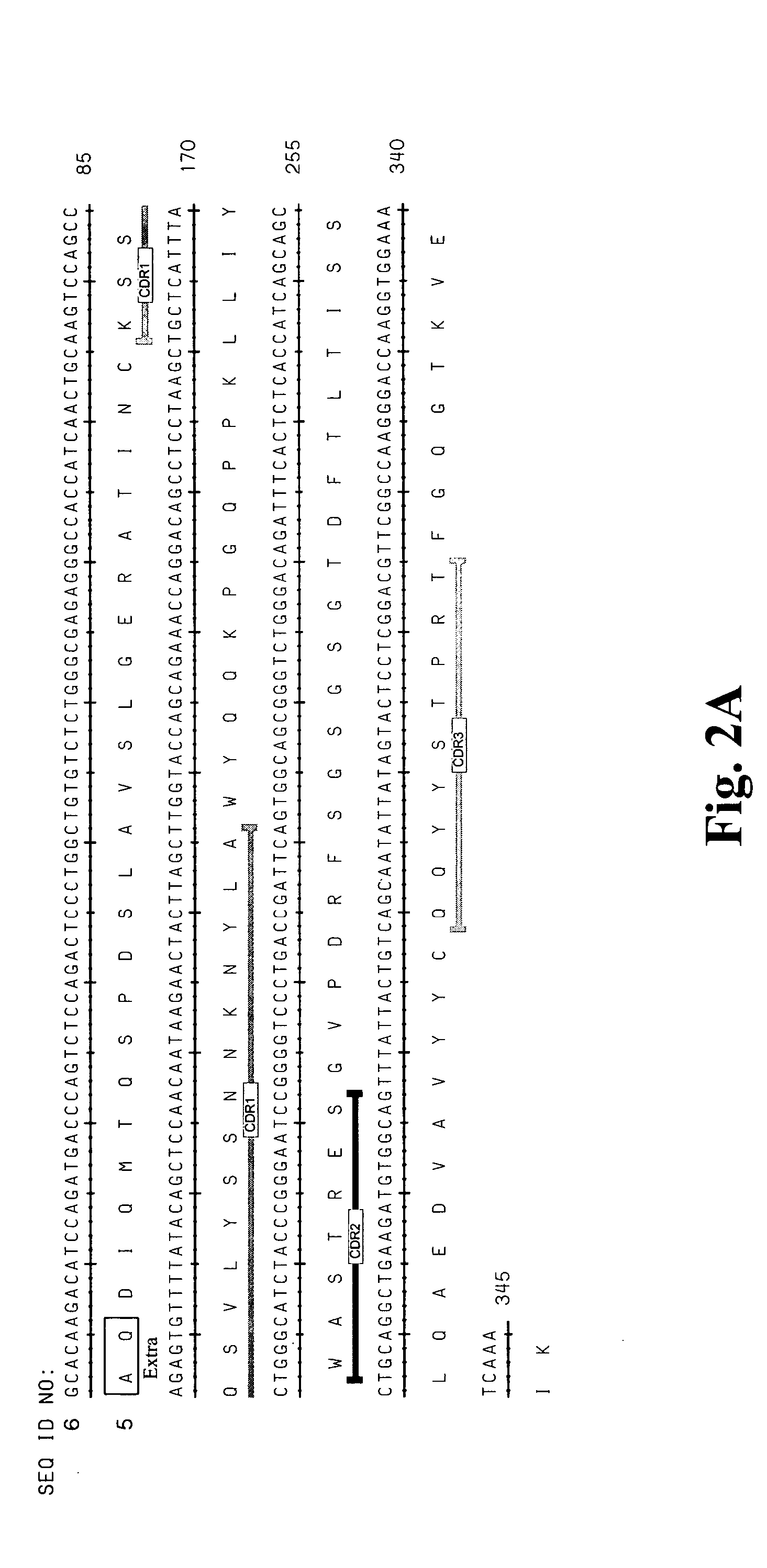 High affinity antibodies against HMGB1 and methods of use thereof