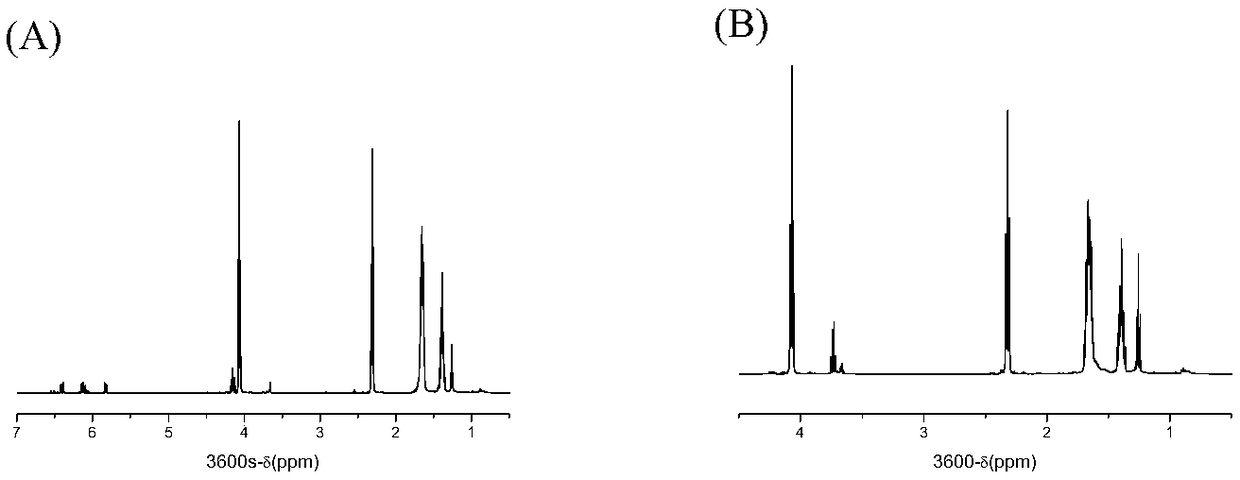 Preparation method of novel biodegradable rapid light curing molding material