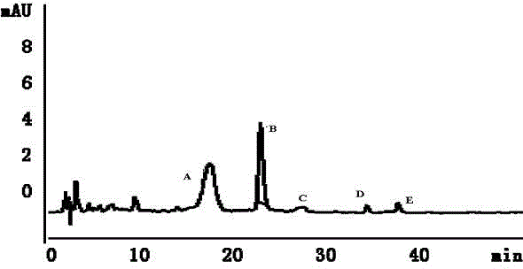 Method for detecting antioxidant constituents in nitraria fruit juice by using 1,1-diphenyl-2-picrylhydrazyl (DPPH)-high performance liquid chromatography (HPLC) method