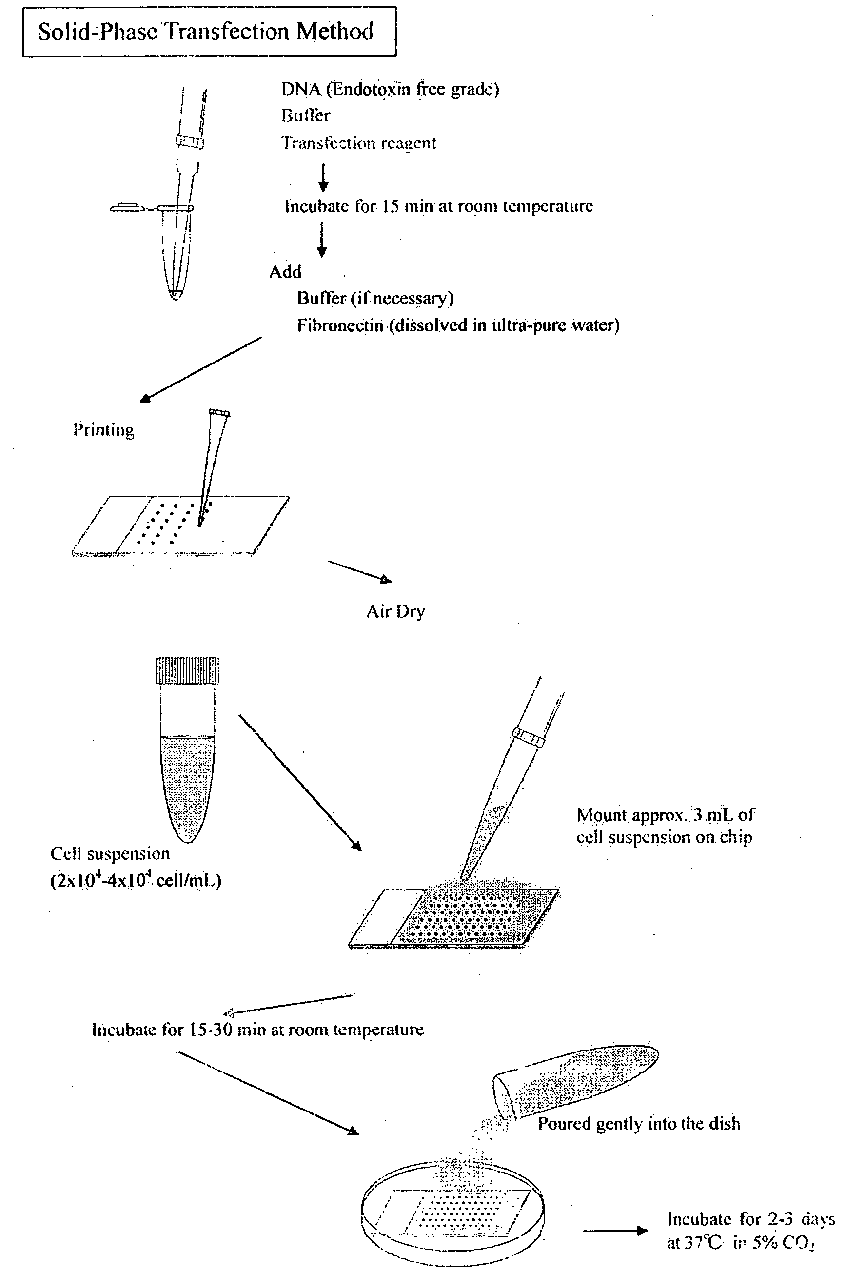 Cell network analysis system