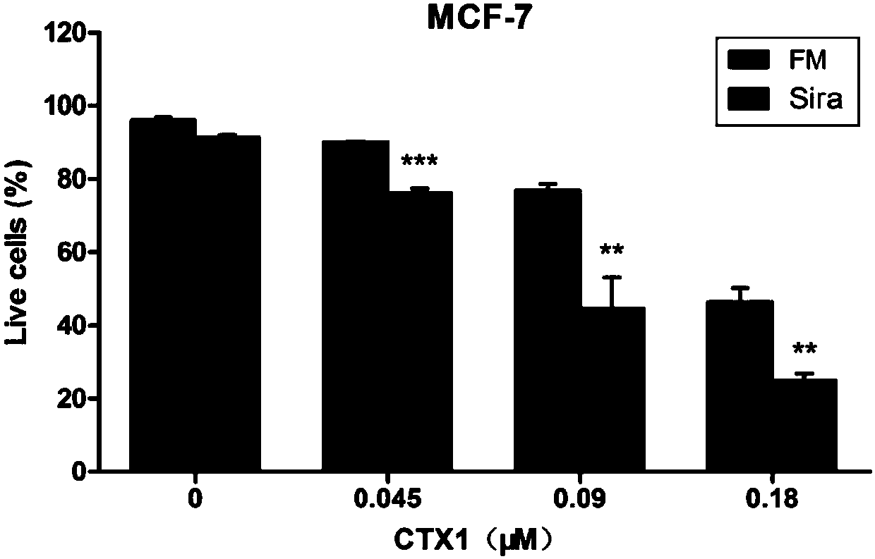 Pharmaceutical composition of Siramesine and snake venom cytotoxin-CTX1