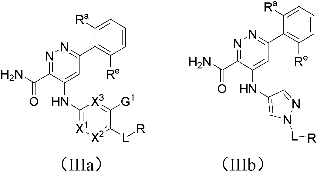 Pyridazine-3-carboxamide compound and preparation method and application thereof in medicine