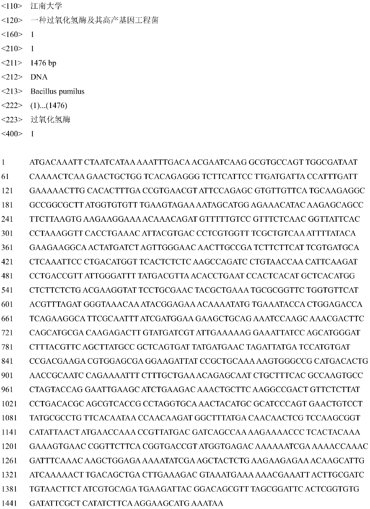 A kind of catalase and its high-yielding genetically engineered bacteria