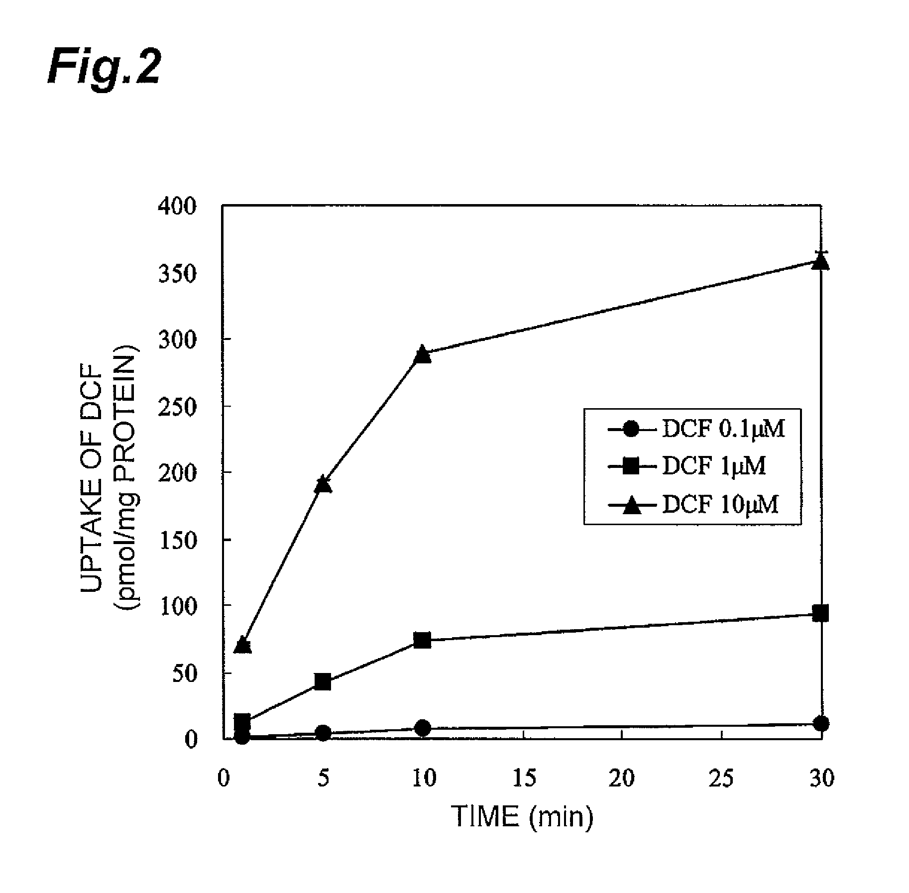 Method for screening for compound capable of enhancing or inhibiting OATP1B1 transport activity, and method for determining expression level of OATP1B1