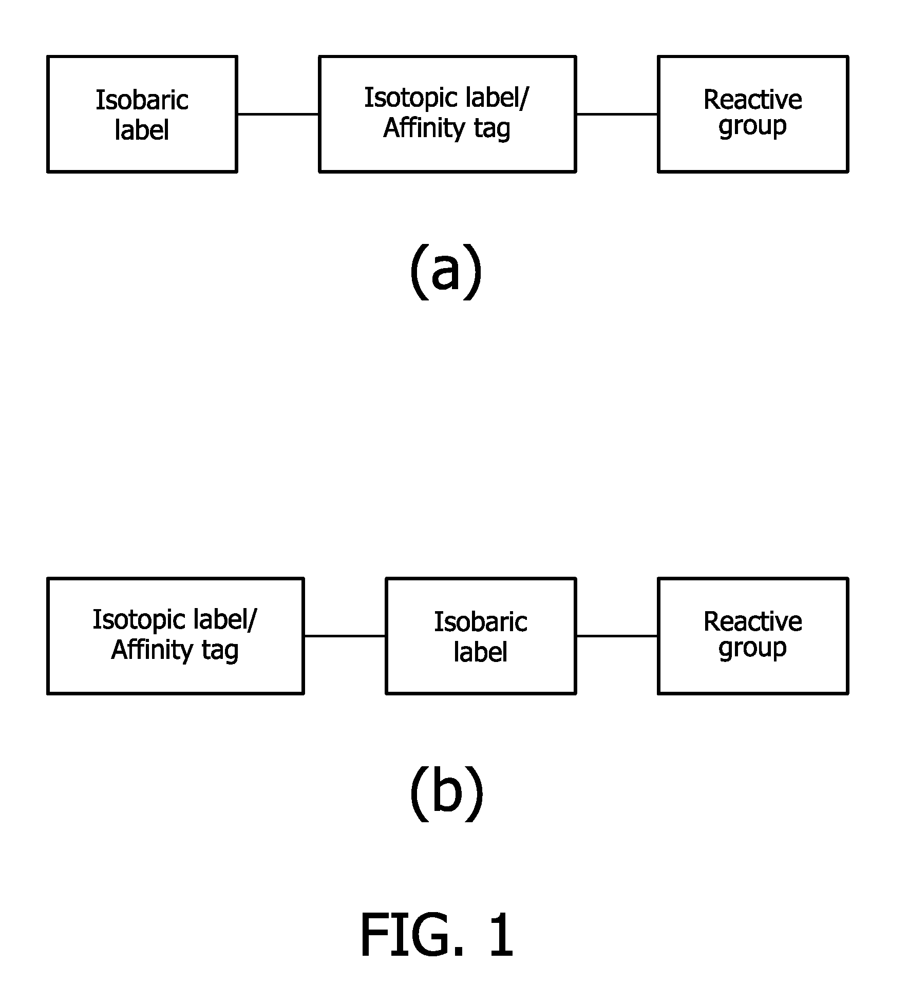 Compounds and methods for the labelling and affinity-selection of proteins