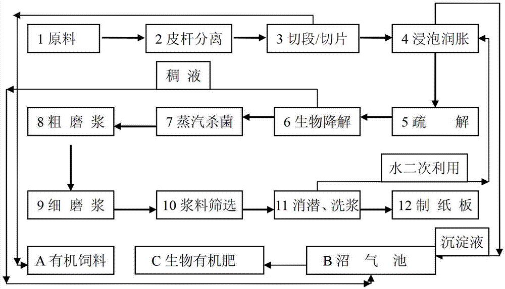 Acinetobacter lwoffii and biological bacteria liquid pulping method thereof