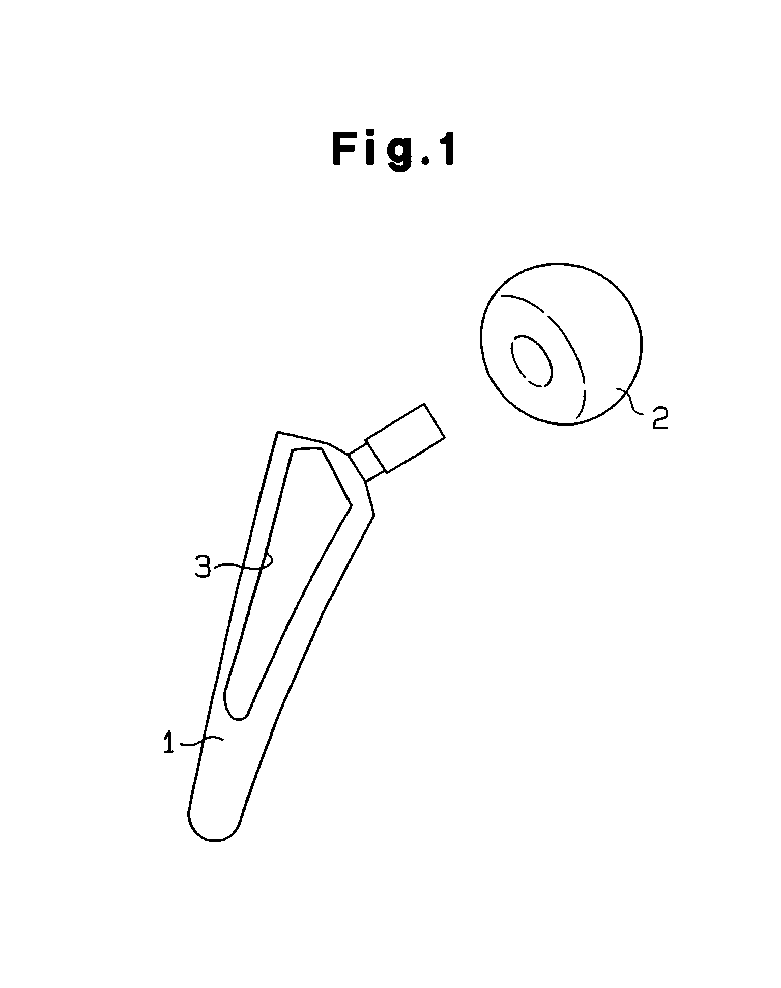 Transplant material and method for fabricating the same