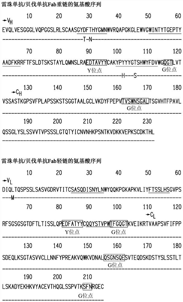 Adeno-associated virus vector pharmaceutical compositions and methods