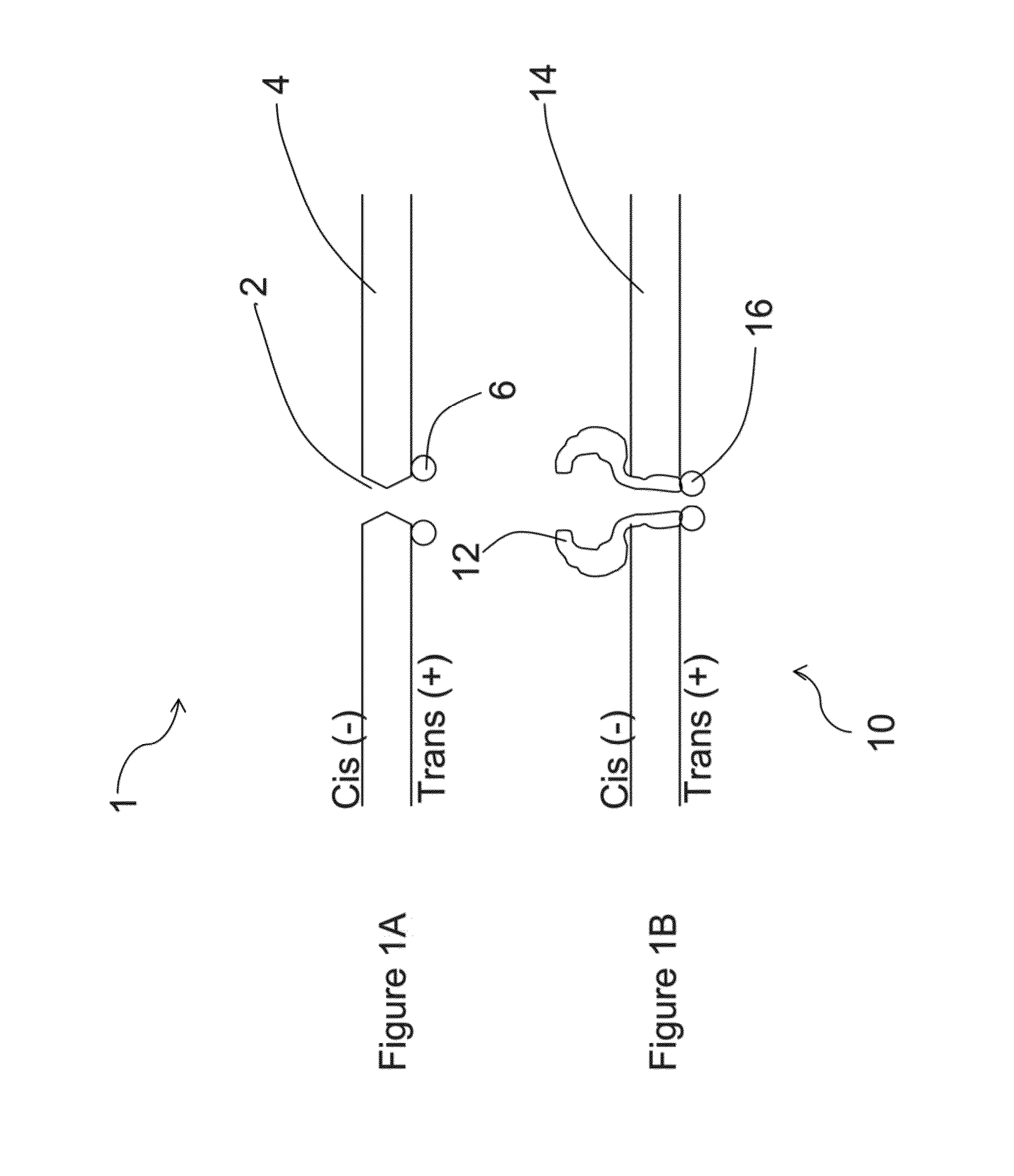 Apparatus and methods for performing optical nanopore detection or sequencing