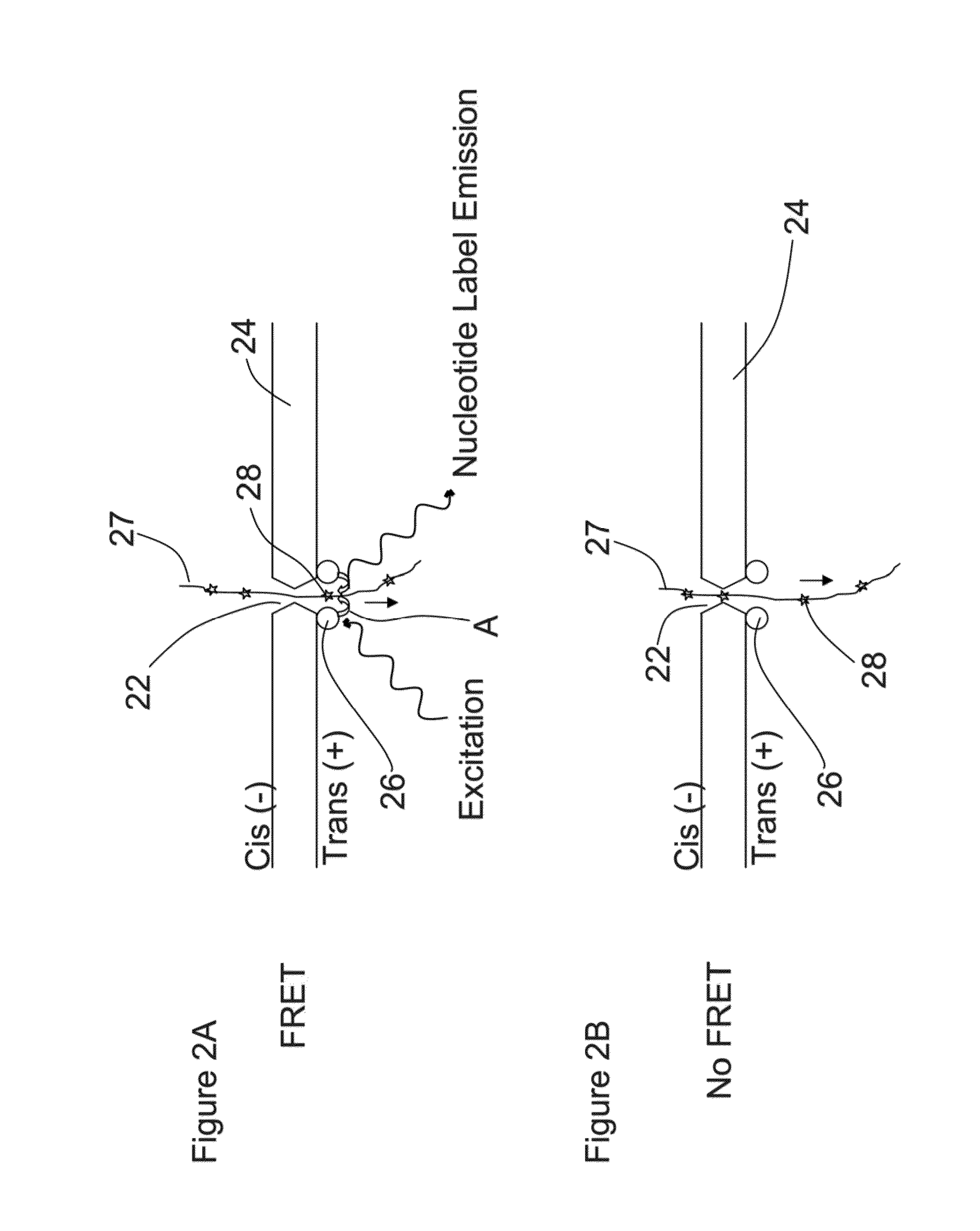 Apparatus and methods for performing optical nanopore detection or sequencing