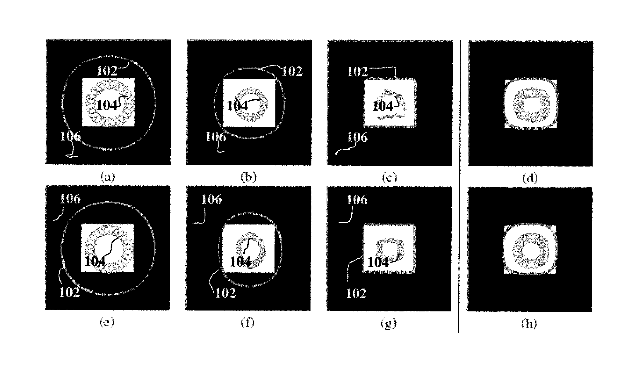 Method and System for Image Segmentation by Evolving Radial Basis functions