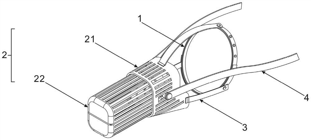 Pet anti-biting interaction device