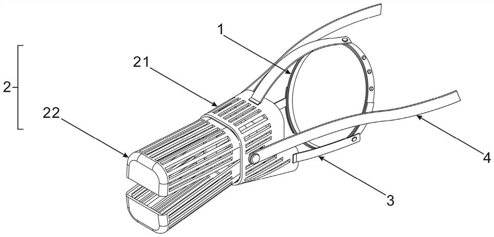 Pet anti-biting interaction device