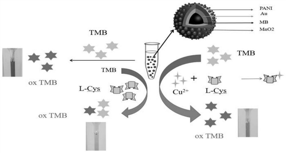 Copper ion colorimetric detection method based on MnO2 complex enzyme stimulant