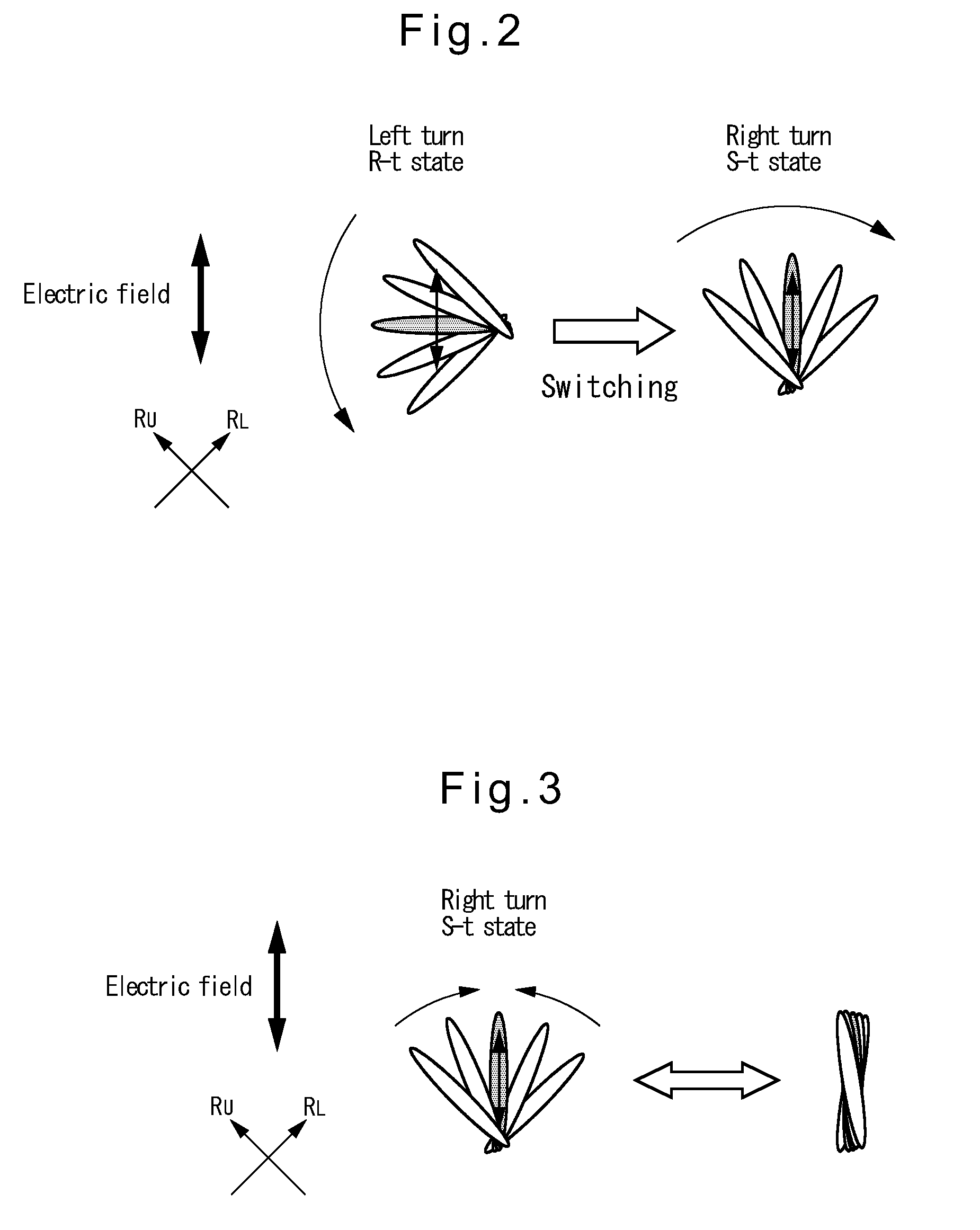 Liquid crystal element and liquid crystal display apparatus