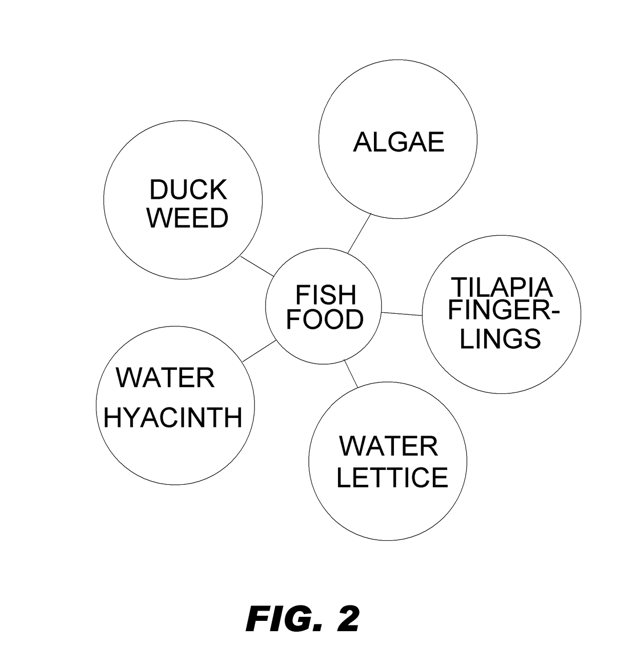 Sustainable Aquaponic System and Method for Growing Useful Plants and for Treating Gray Water
