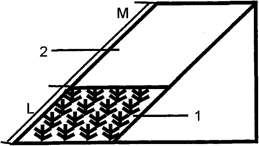 Strip greening method of arid and semi-arid lands