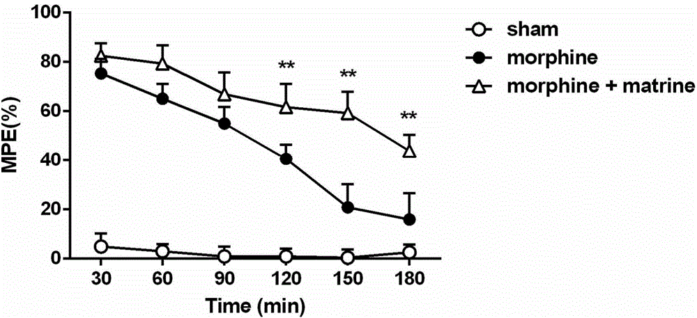 Application of matrine in preparing opioid