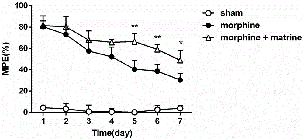 Application of matrine in preparing opioid