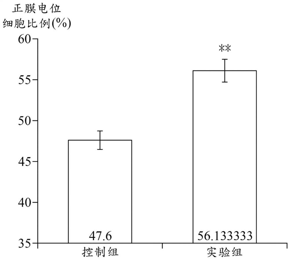 Halobacillus trueperi tci66207 strain and bacterial lysate thereof and use of bacterial lysate
