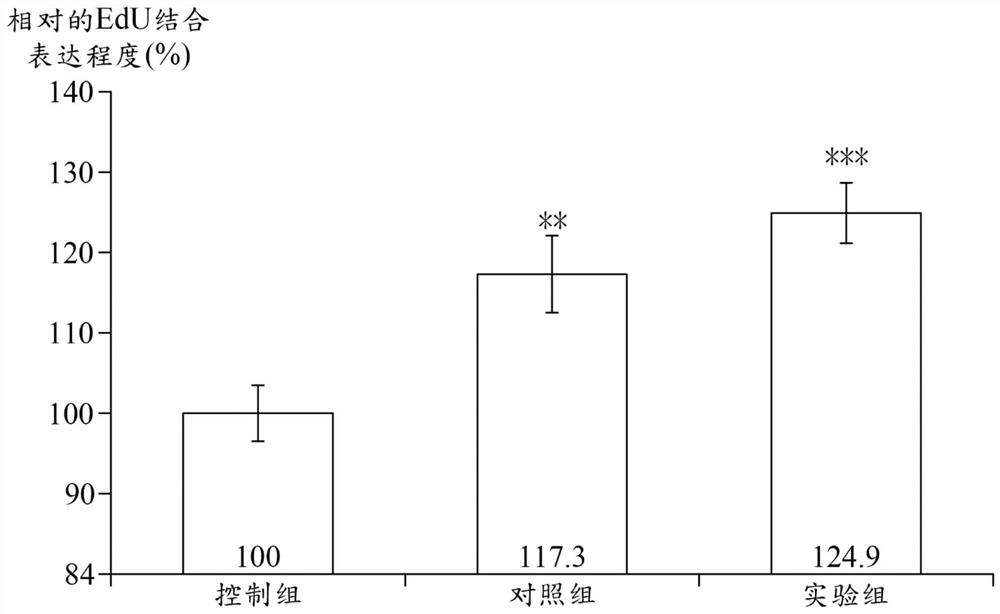 Halobacillus trueperi tci66207 strain and bacterial lysate thereof and use of bacterial lysate
