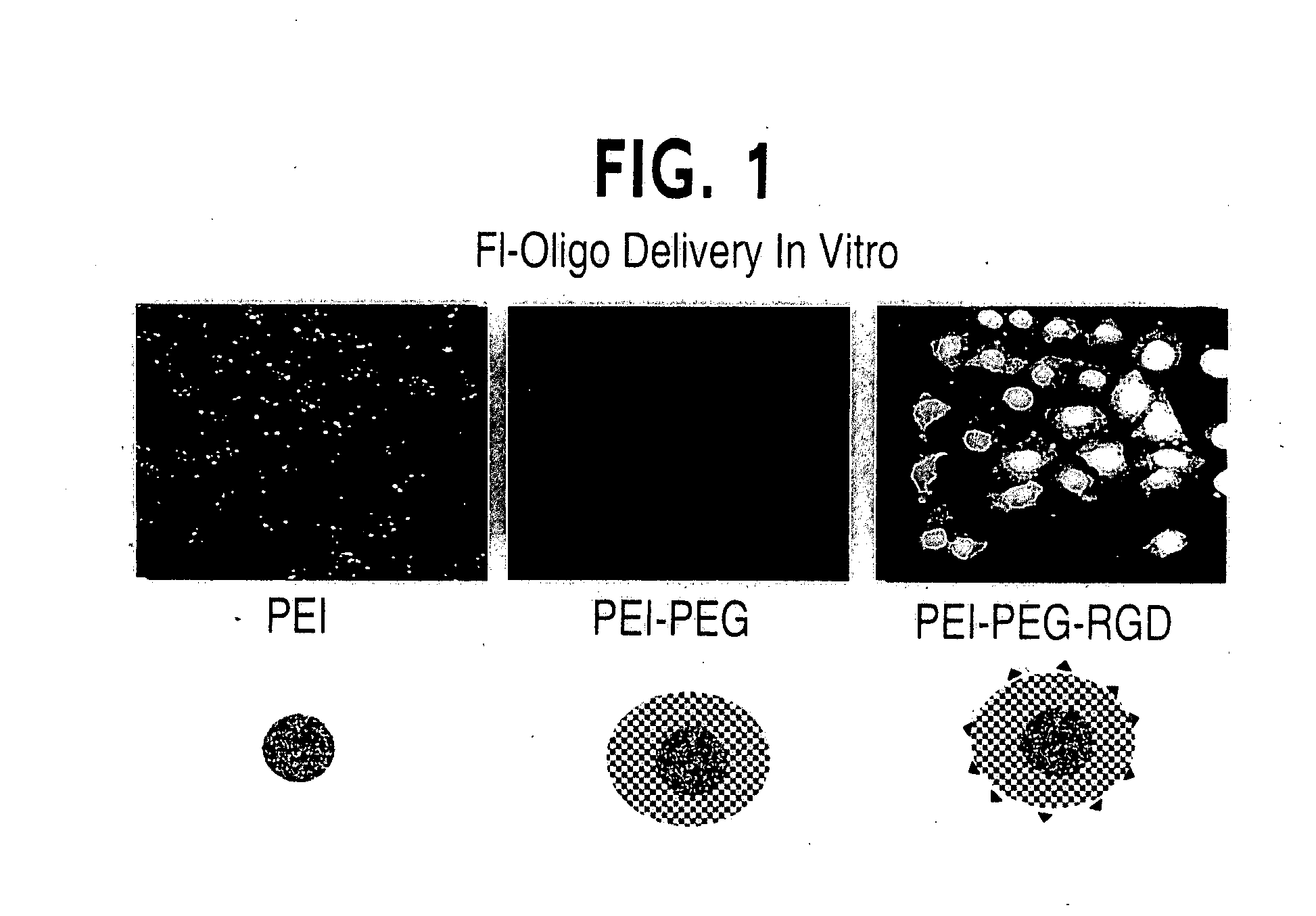 Therapeutic methods for nucleic acid delivery vehicles