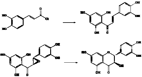 A kind of synthetic technology of natural active product dihydroquercetin