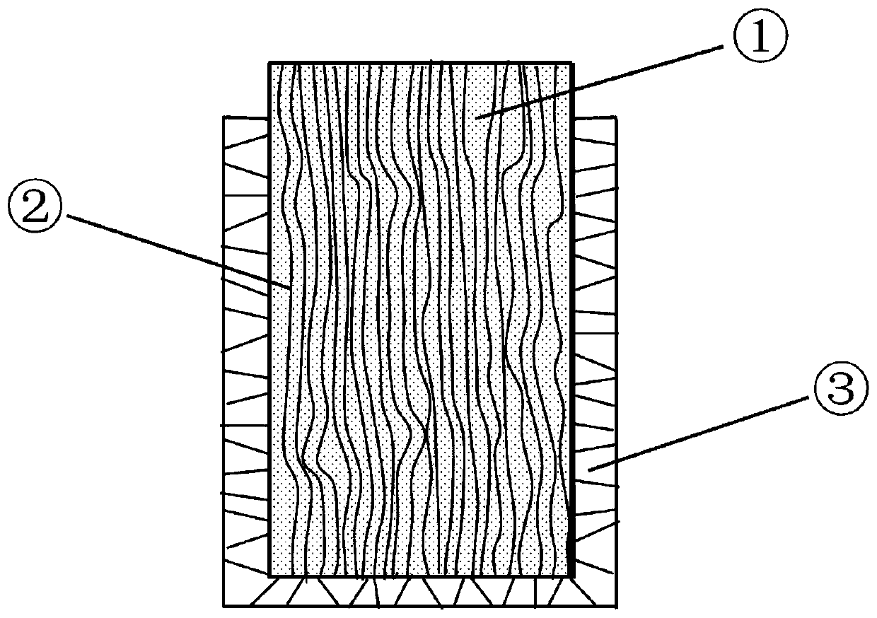 Preparation method and application of sulfur positive electrode of full-wood structure