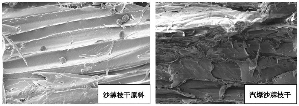 Preparation method of hippophae rhamnoides branch and trunk feed