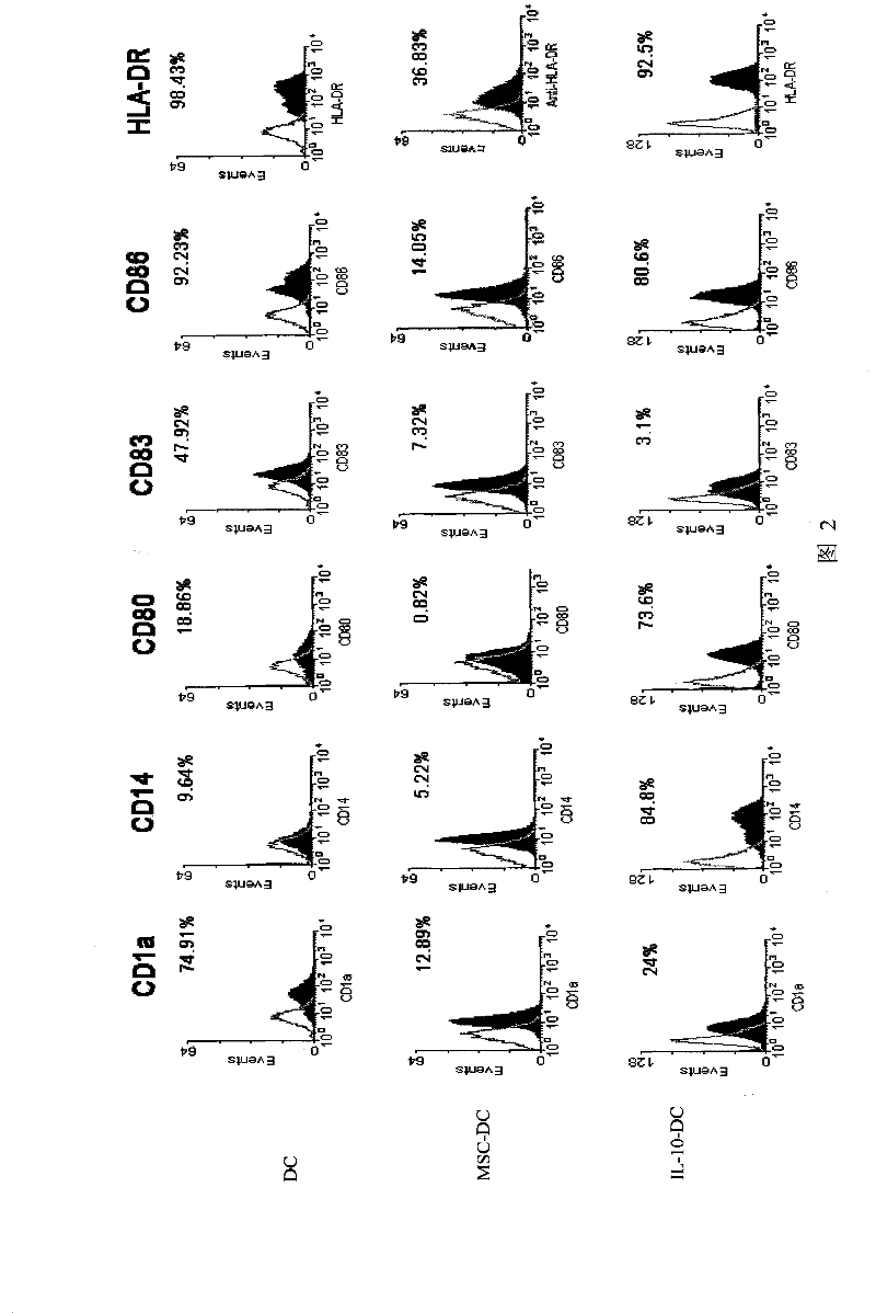 Immunologic tolerance dendritic cell, preparation method thereof and special culture medium