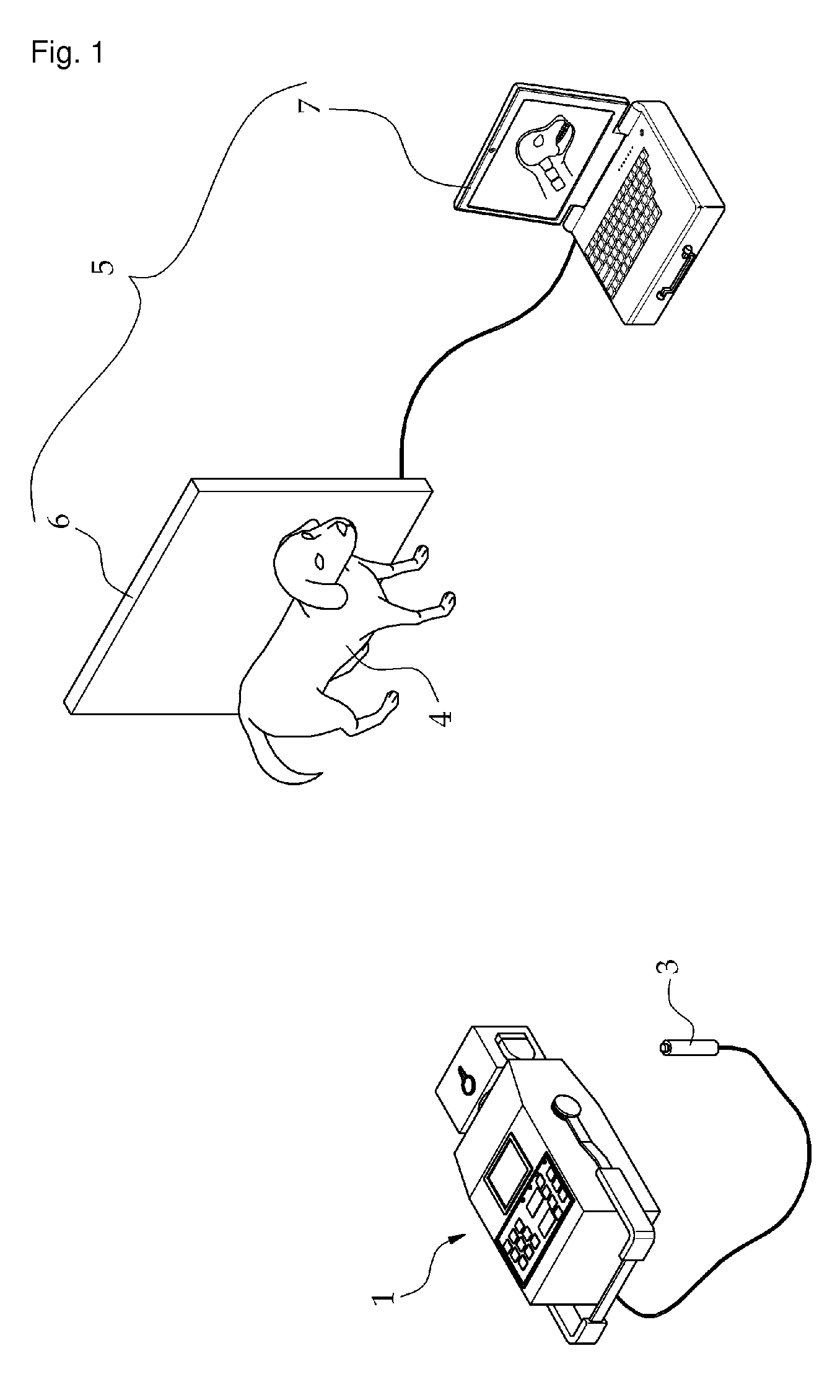 X-ray photographing apparatus for receiving and editing X-ray image