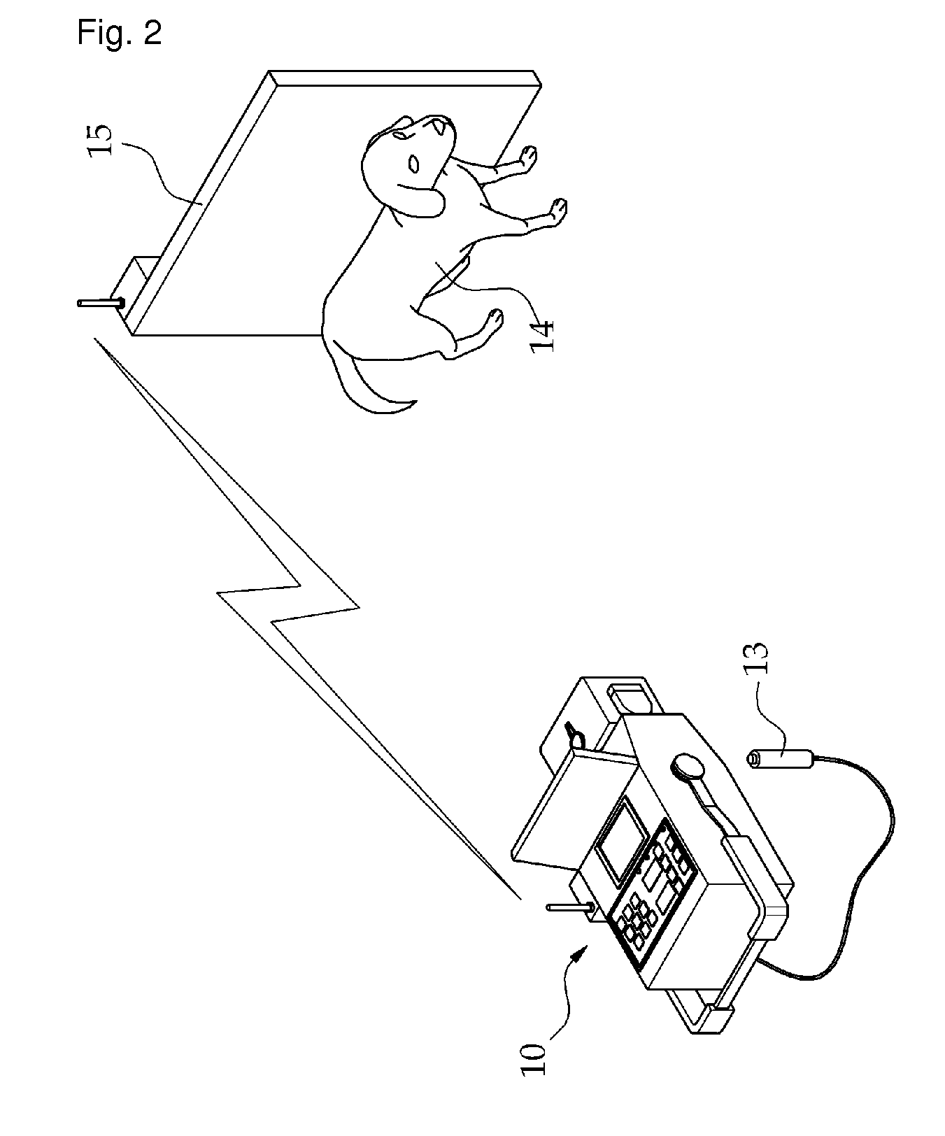 X-ray photographing apparatus for receiving and editing X-ray image