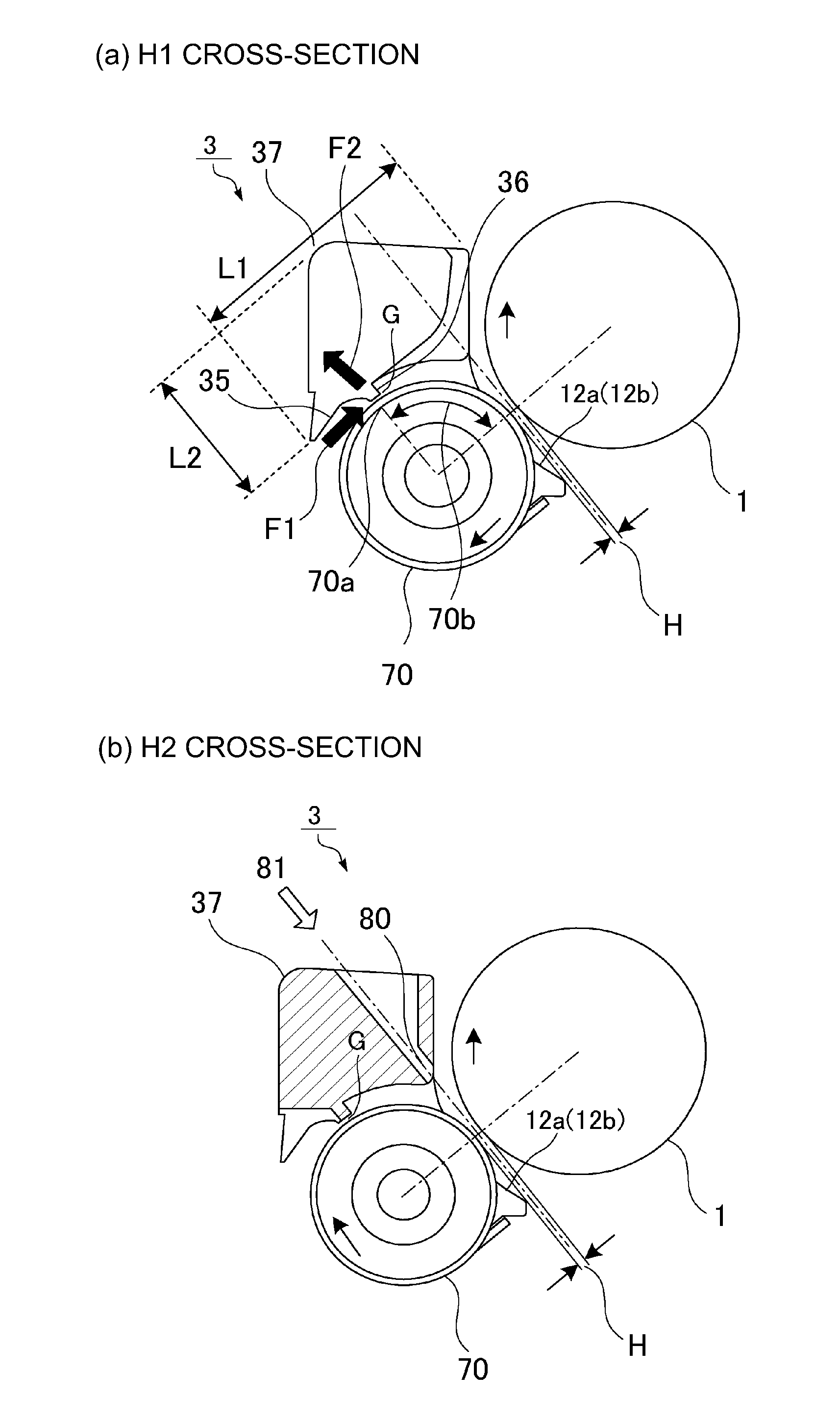 Regulating member and developing device