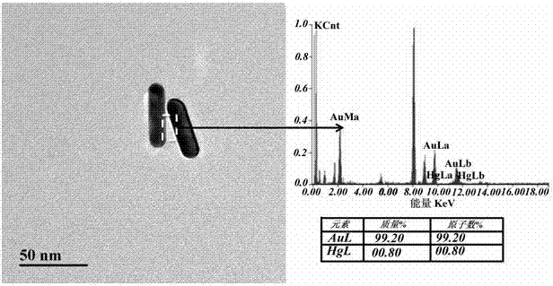 Method for manufacturing plasma chiral ligand sensor for mercury ions