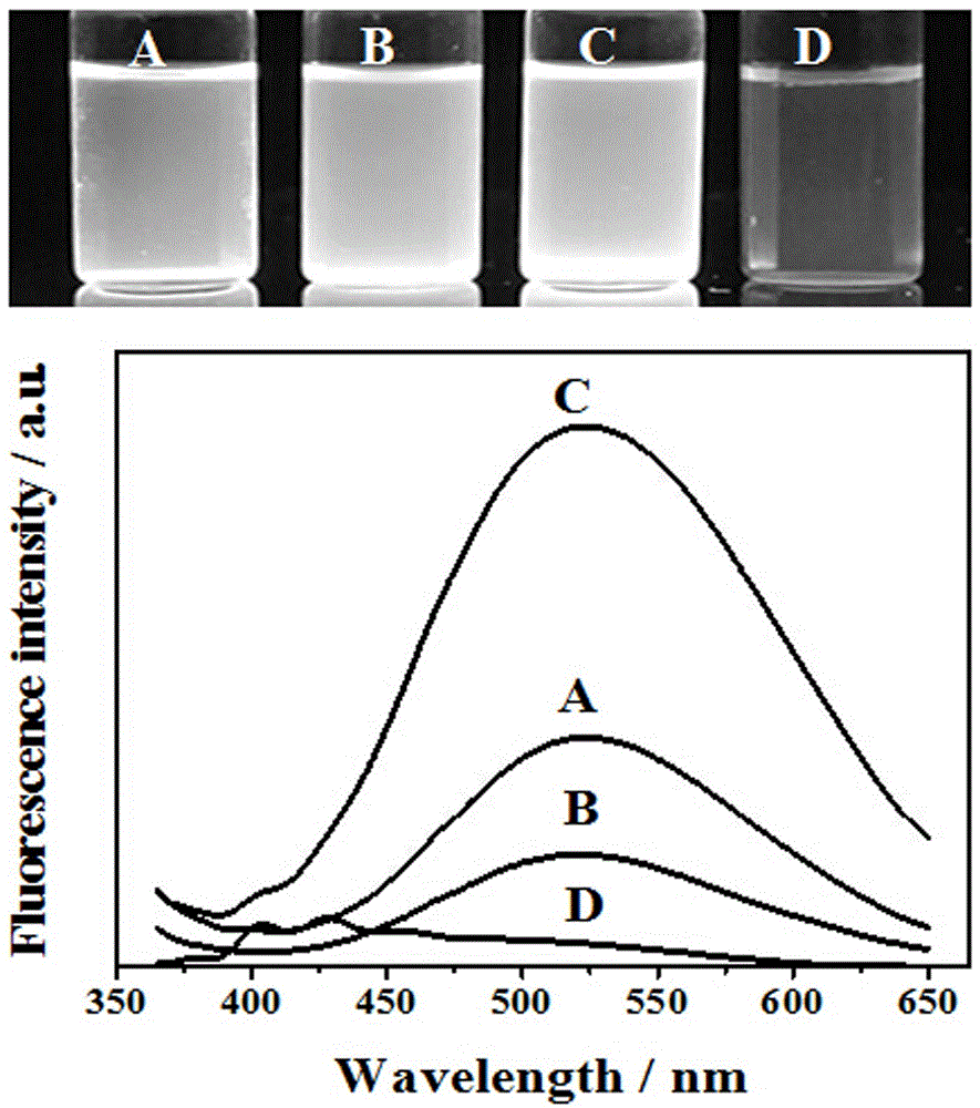 Water-sensitive fluorescent capillary tube based on amino silanization zinc oxide as well as preparation method and application of water-sensitive fluorescent capillary tube