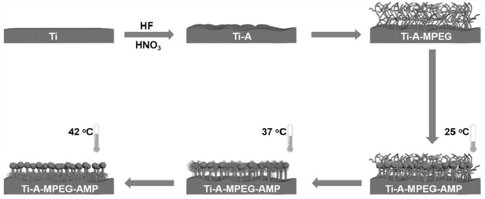 Titanium-based implant capable of selectively expressing multiple functions of "stain resistance-cell adhesion promotion-sterilization" in response to temperature changes and preparation method