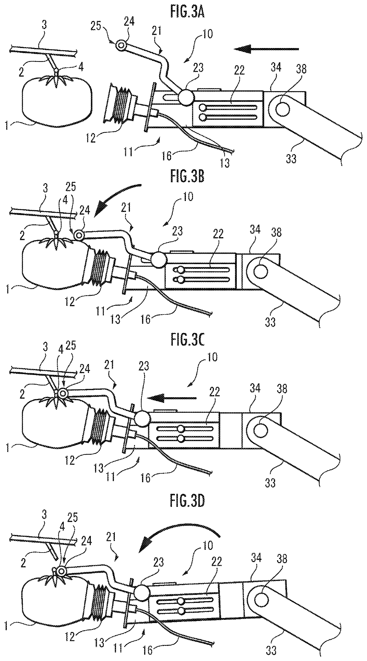 Fruit and vegetable harvesting device