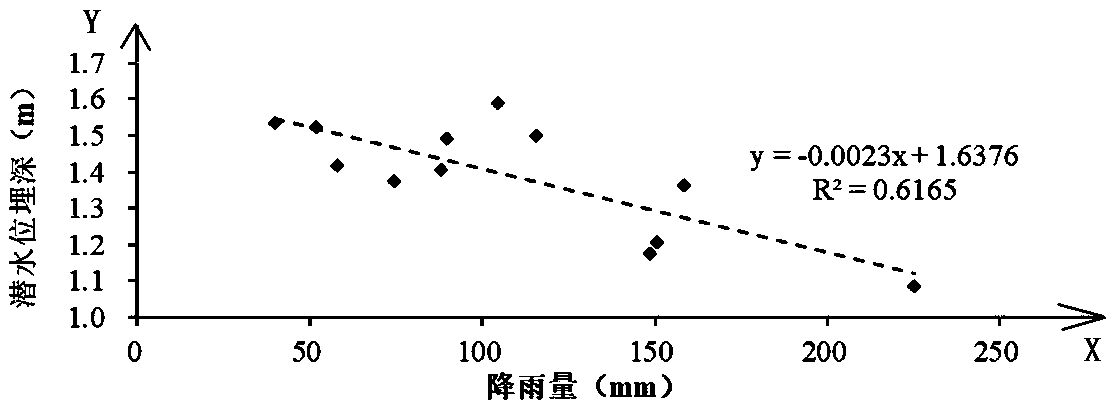 Calculation method for quickly determining phreatic water level fluctuation characteristics