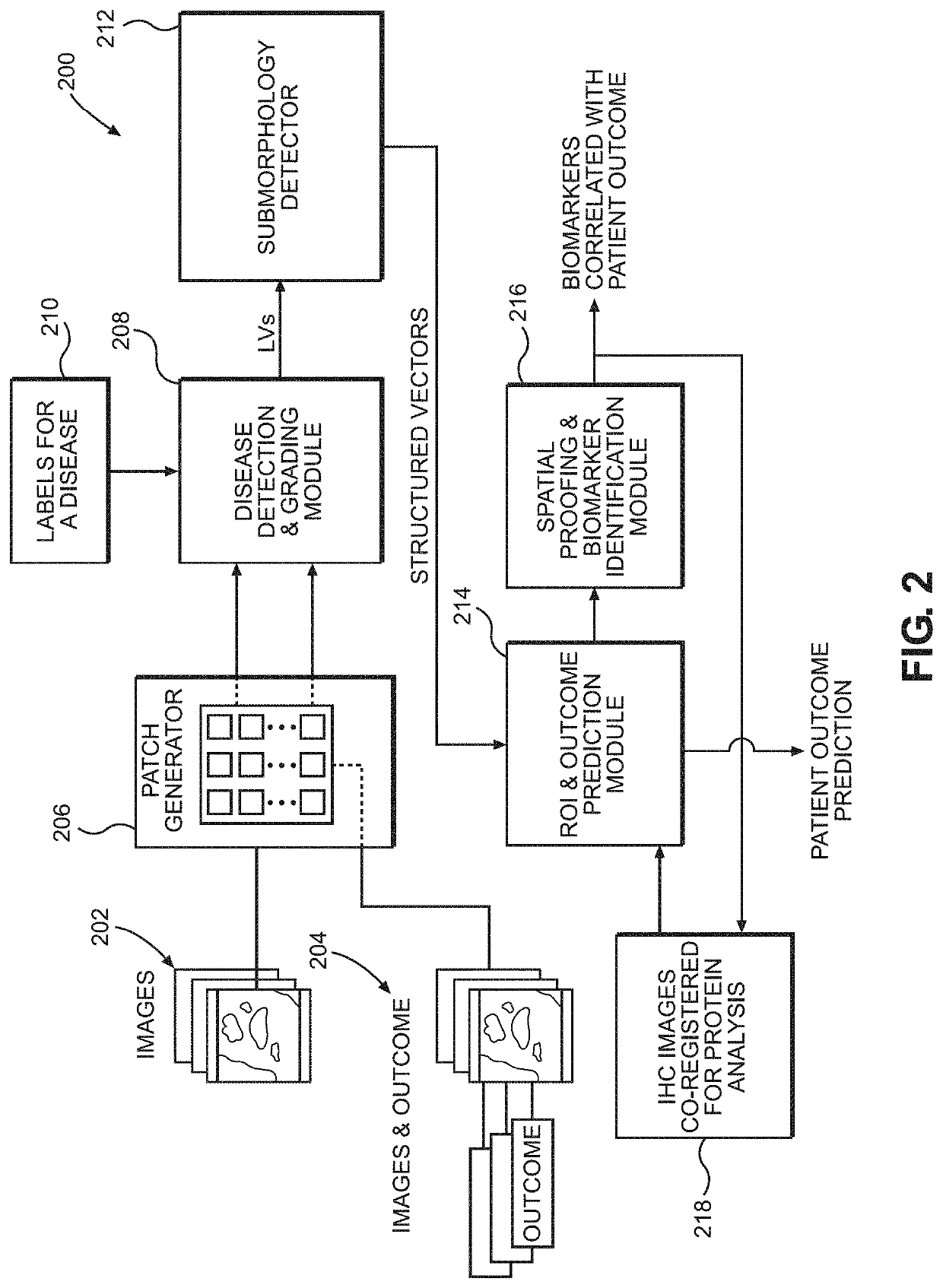 Systems and methods for predicting patient outcome to cancer therapy
