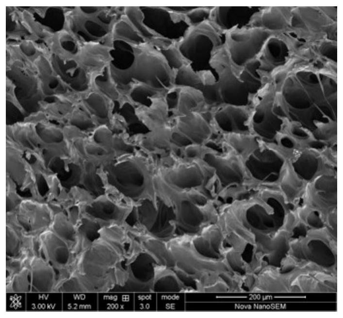 A method for preparing tissue engineering scaffold material by using degradable synthetic polymer material