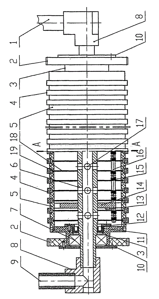 Strip-shaped glue coating device for paper seed tape
