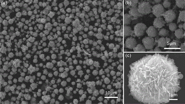 Highly active visible catalyst Ag / Cu2O hierarchy structural microsphere preparation method