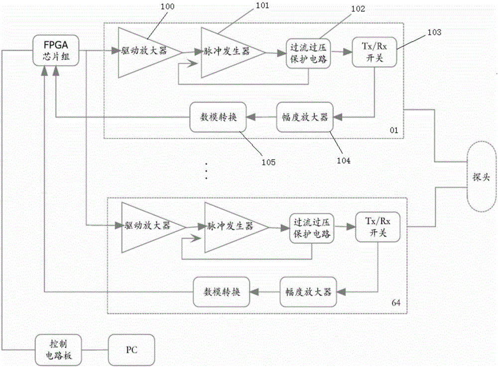 Quantitative shear wave elasticity imaging system