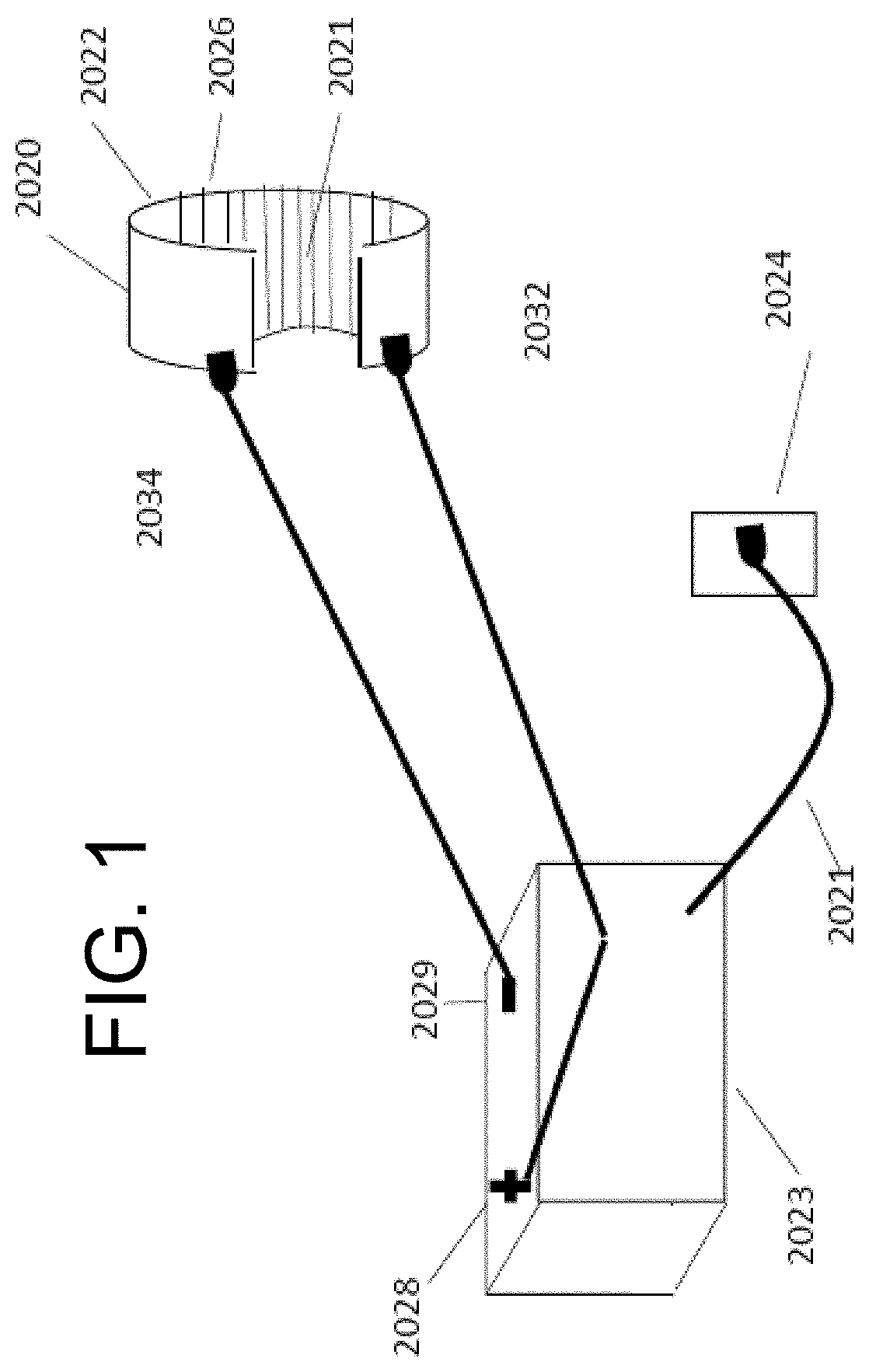 Dental enamel compositions with anti-inflammatory agents for animals