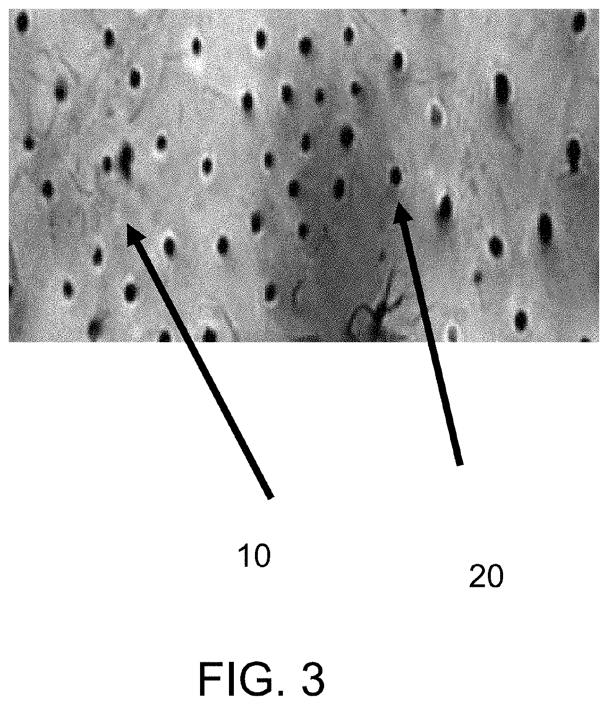 Dental enamel compositions with anti-inflammatory agents for animals