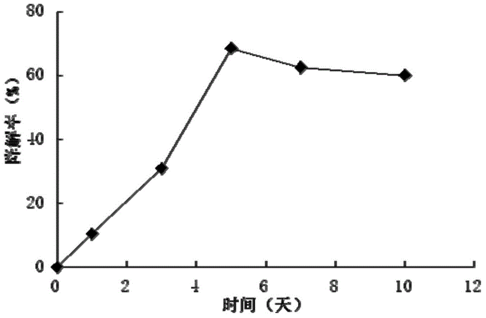 Strain for degrading pendimethalin pesticide and fungicide and application of strain