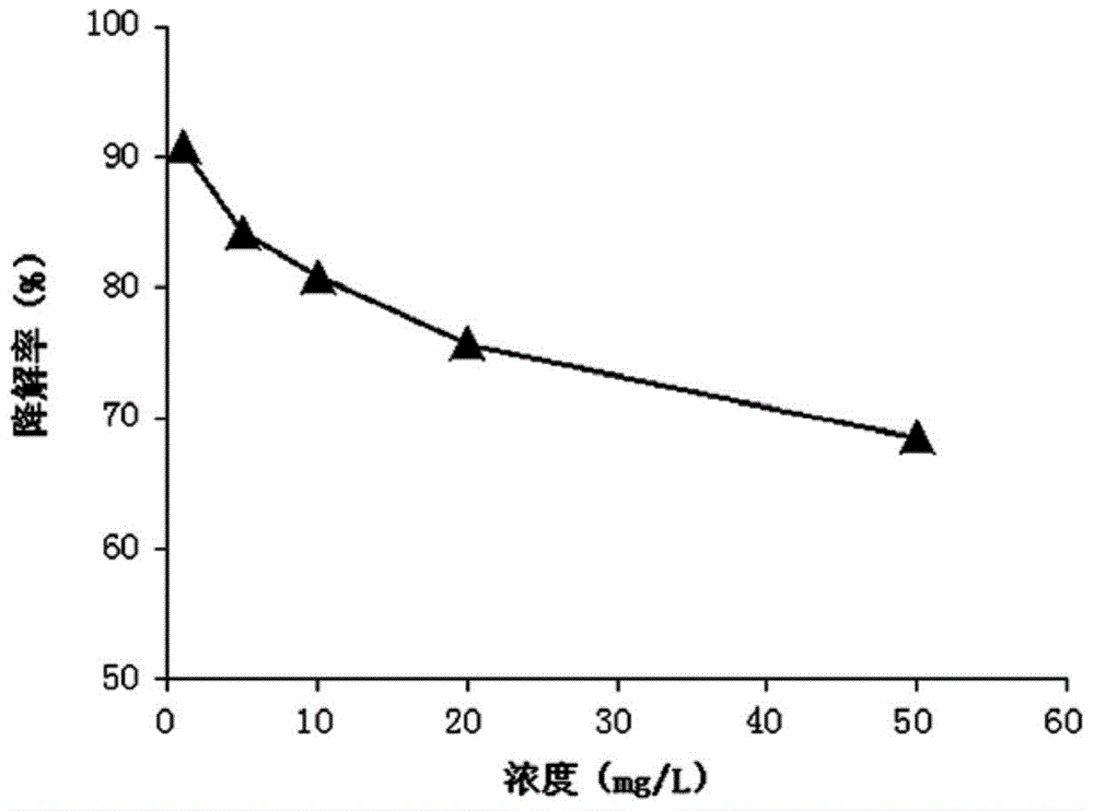 Strain for degrading pendimethalin pesticide and fungicide and application of strain